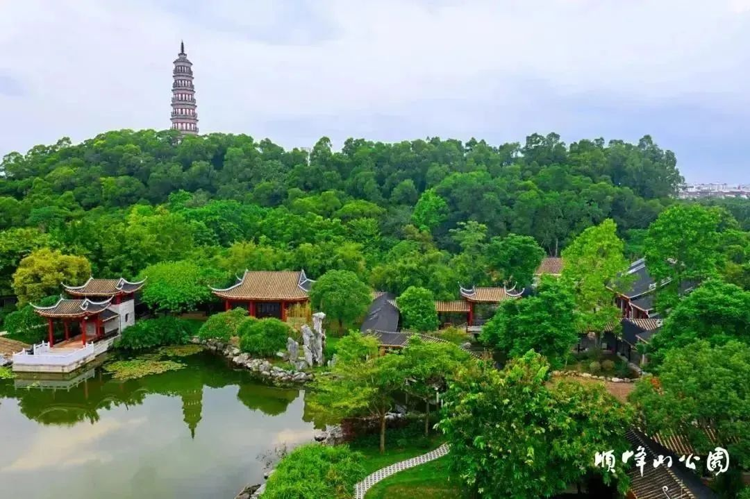 1764751212136557.png 1764751212136557.png