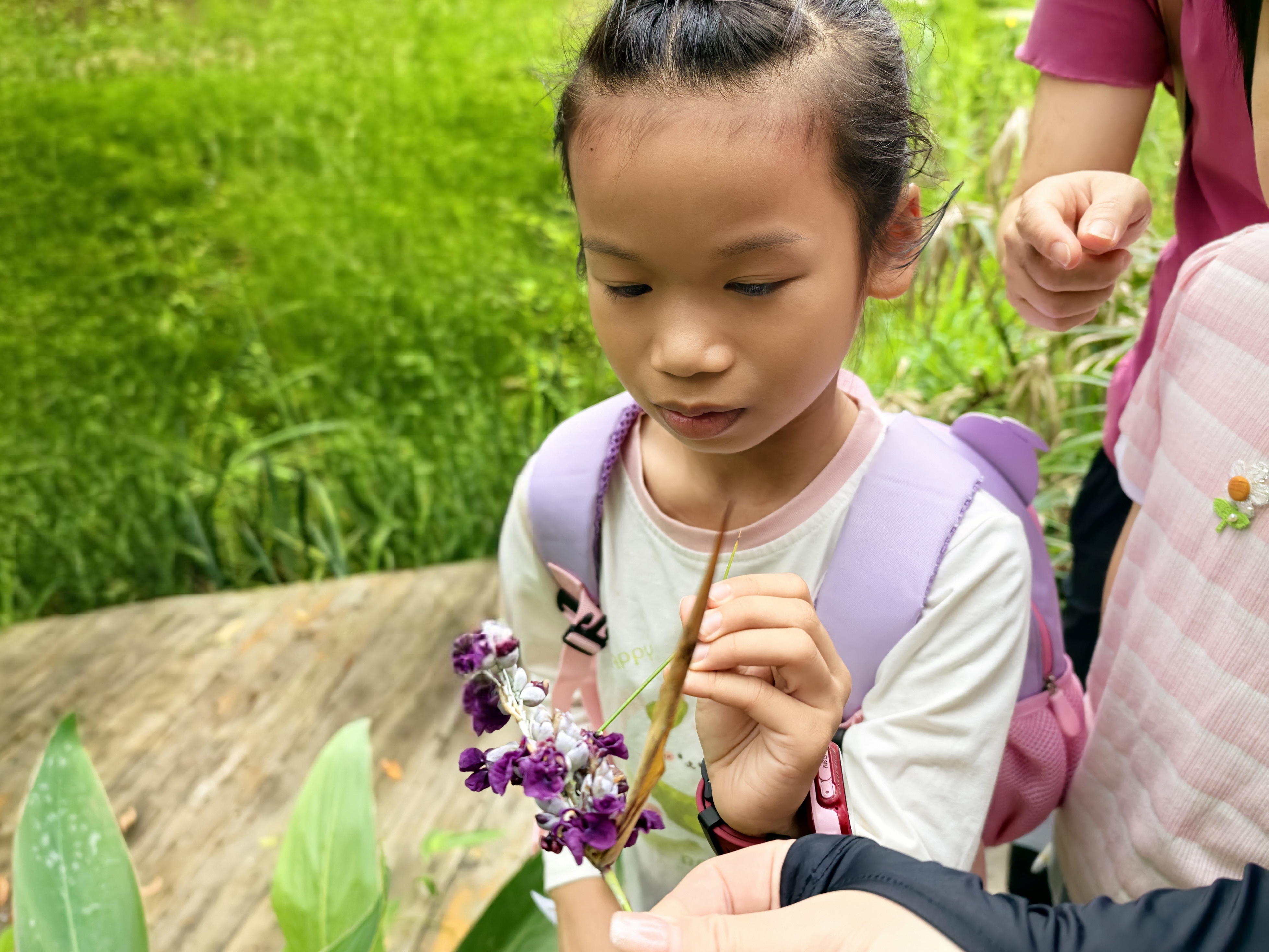 1761811915618168.jpg 微信图片_20250619202514.jpg