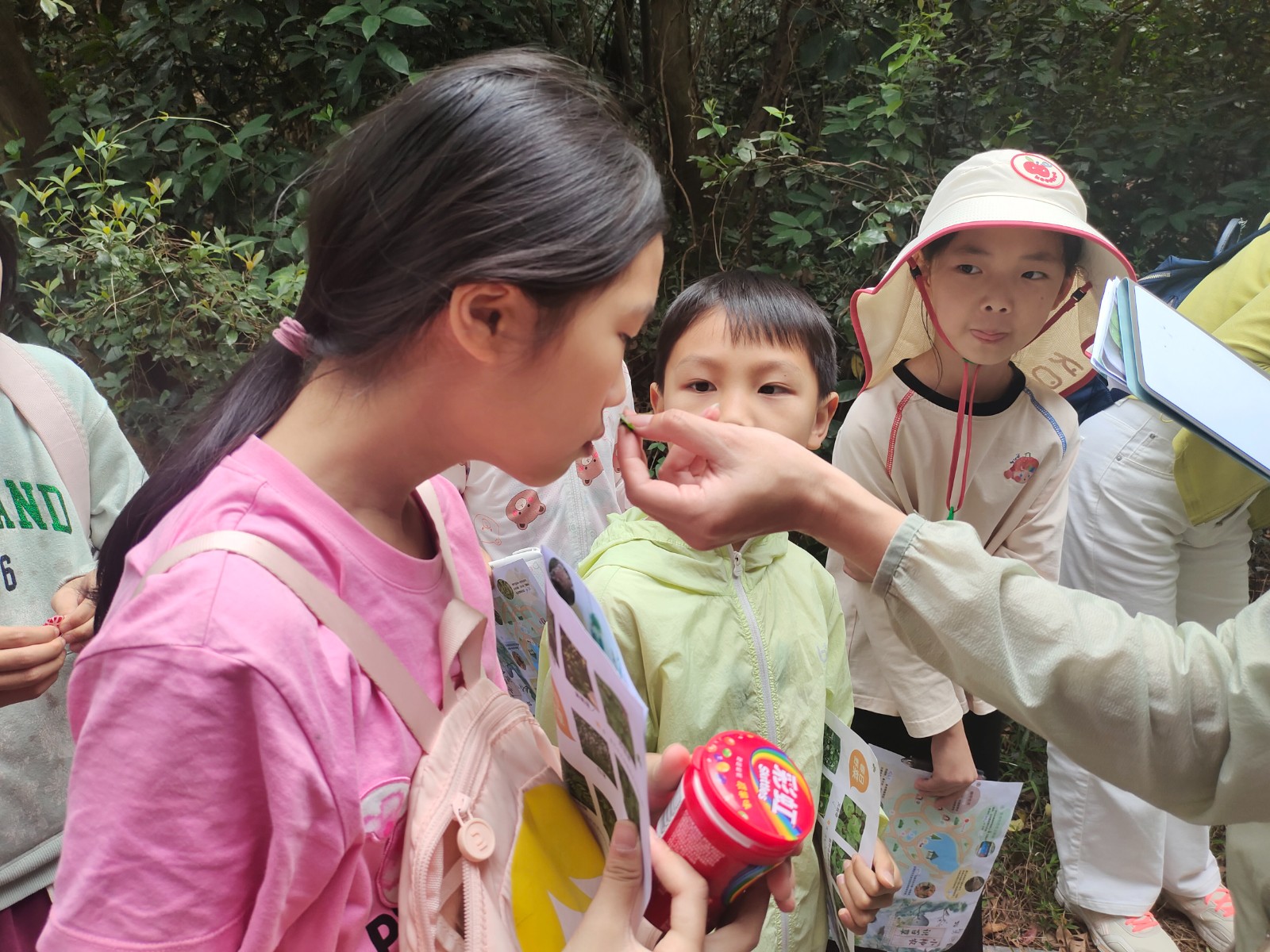 1761813403841326.jpg 1761813403841326.jpg