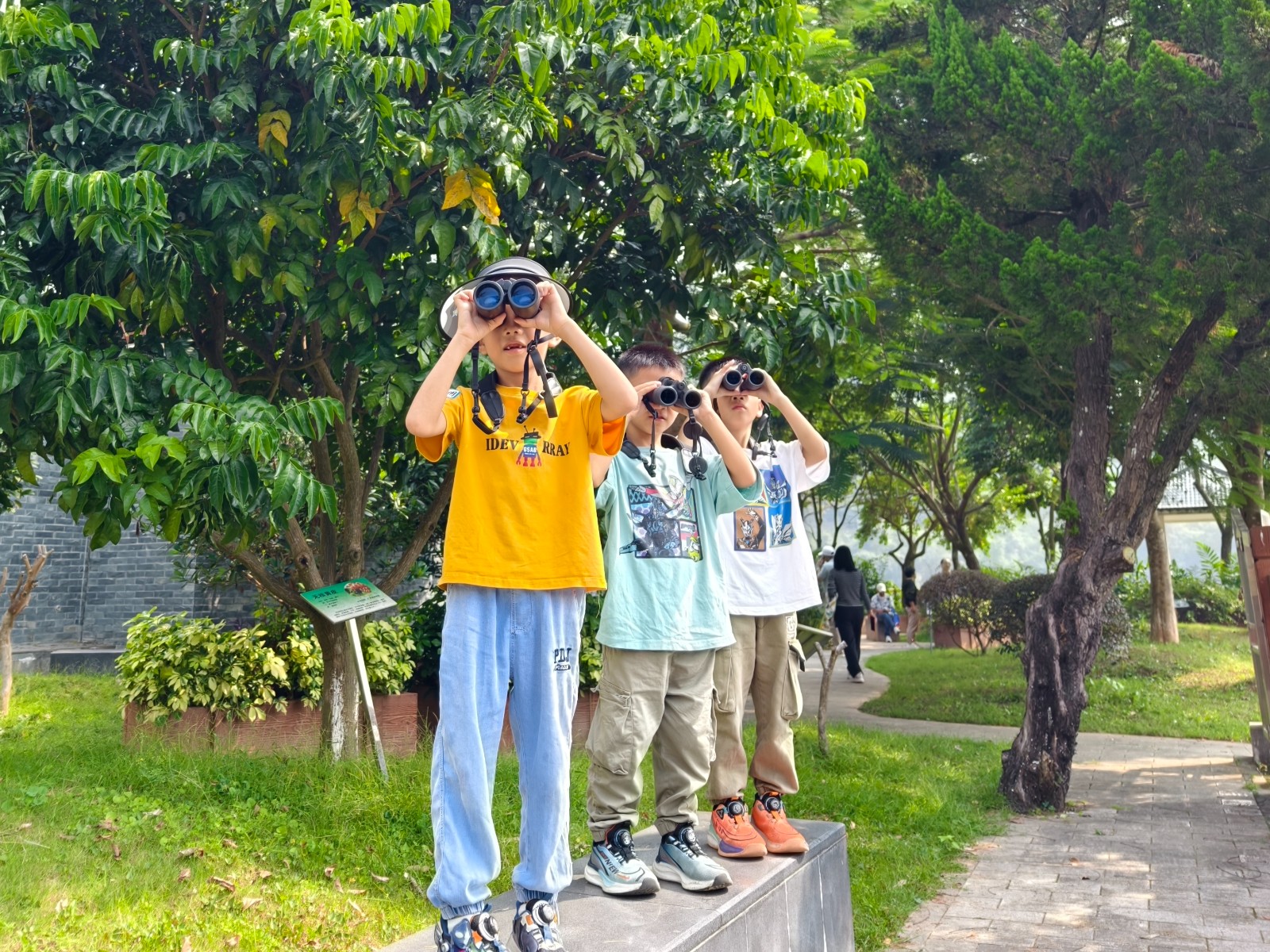 1761816046373462.jpg 1761816046373462.jpg