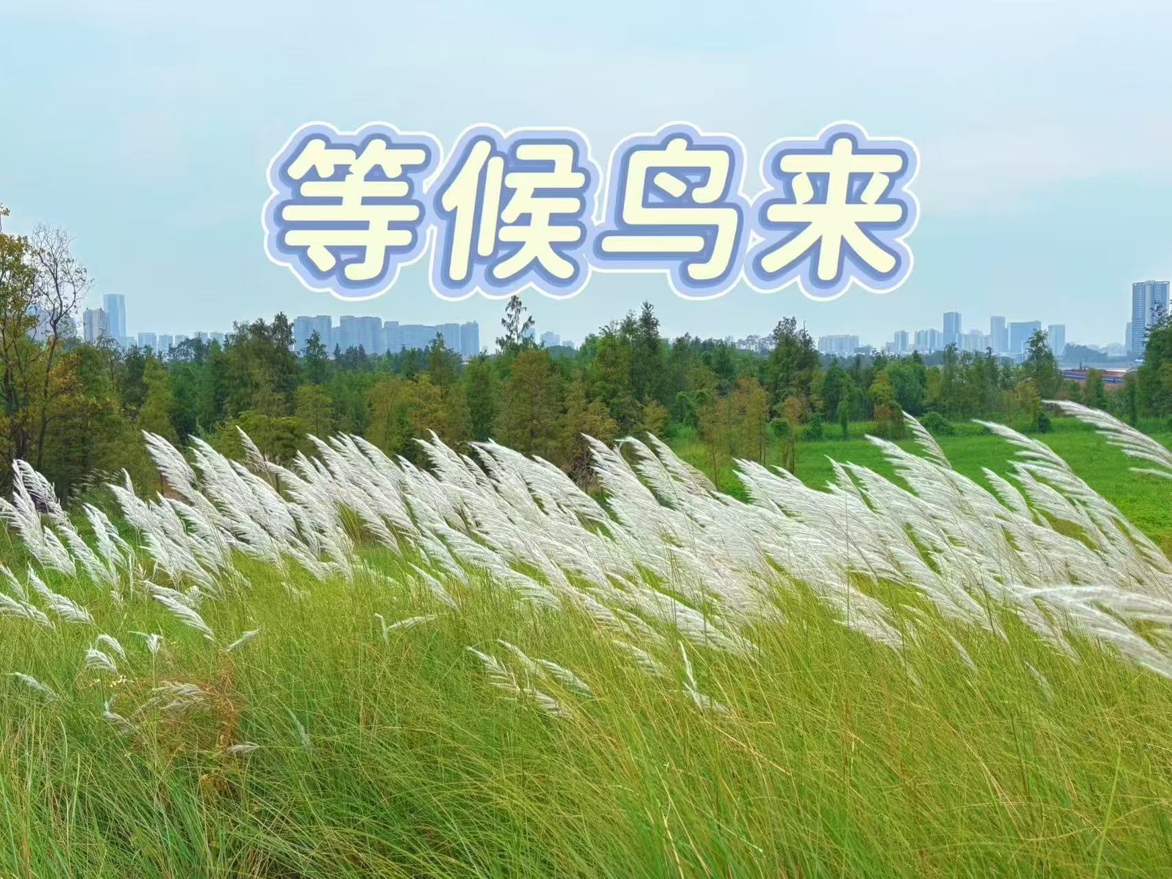 1761816133448360.jpg 1761816133448360.jpg