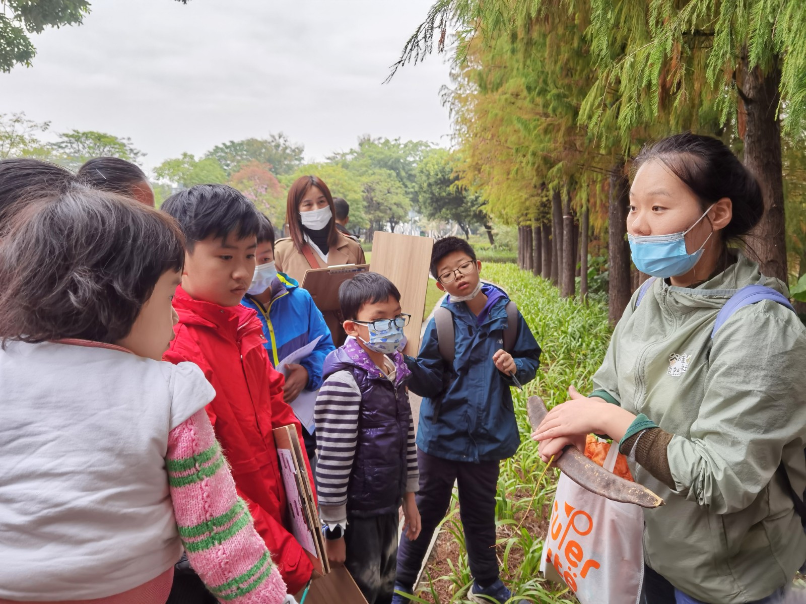 1763610893839968.jpg 1763610893839968.jpg