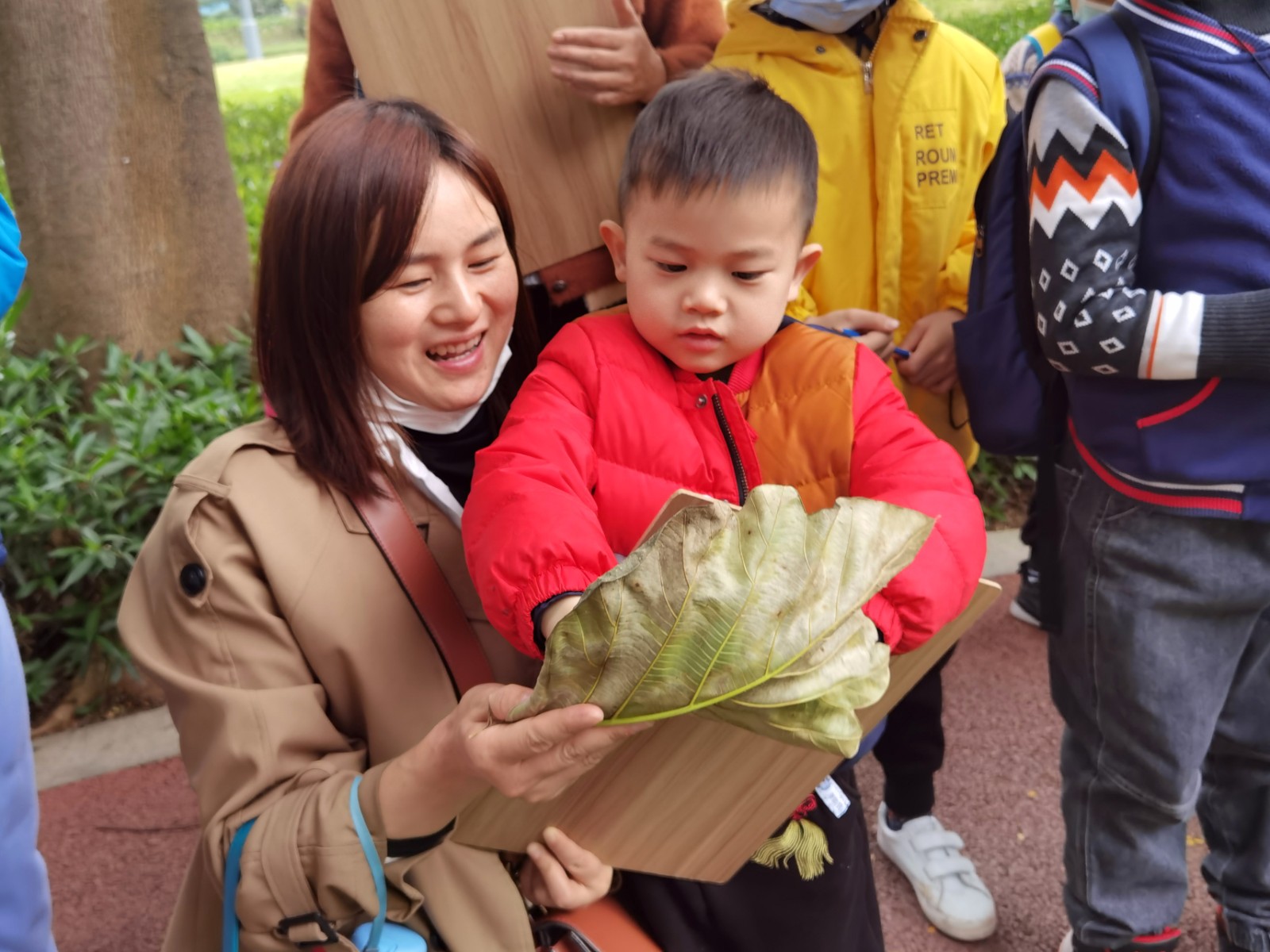 1763611209372421.jpg 1763611209372421.jpg