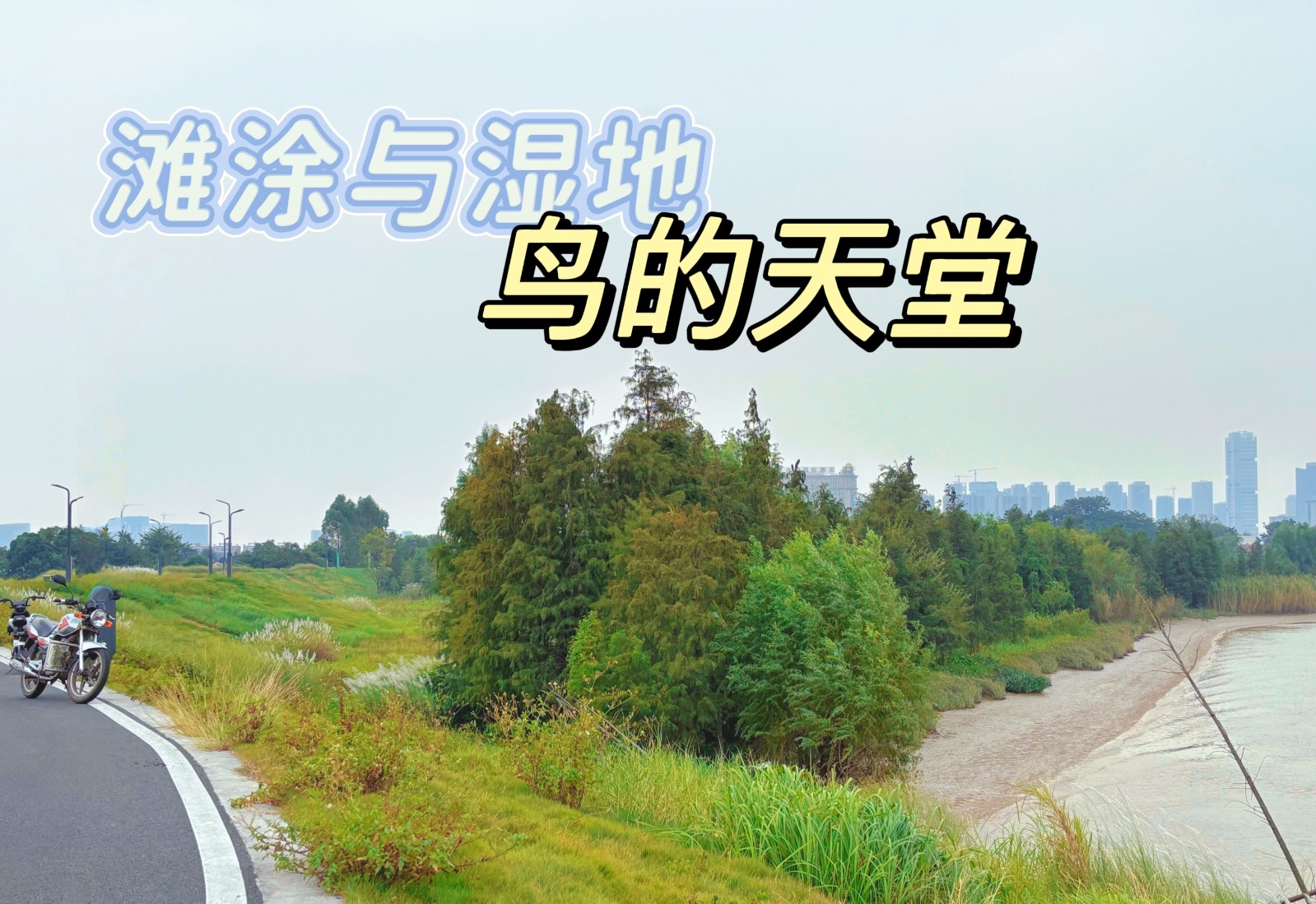 1764217190110562.jpg 1764217190110562.jpg