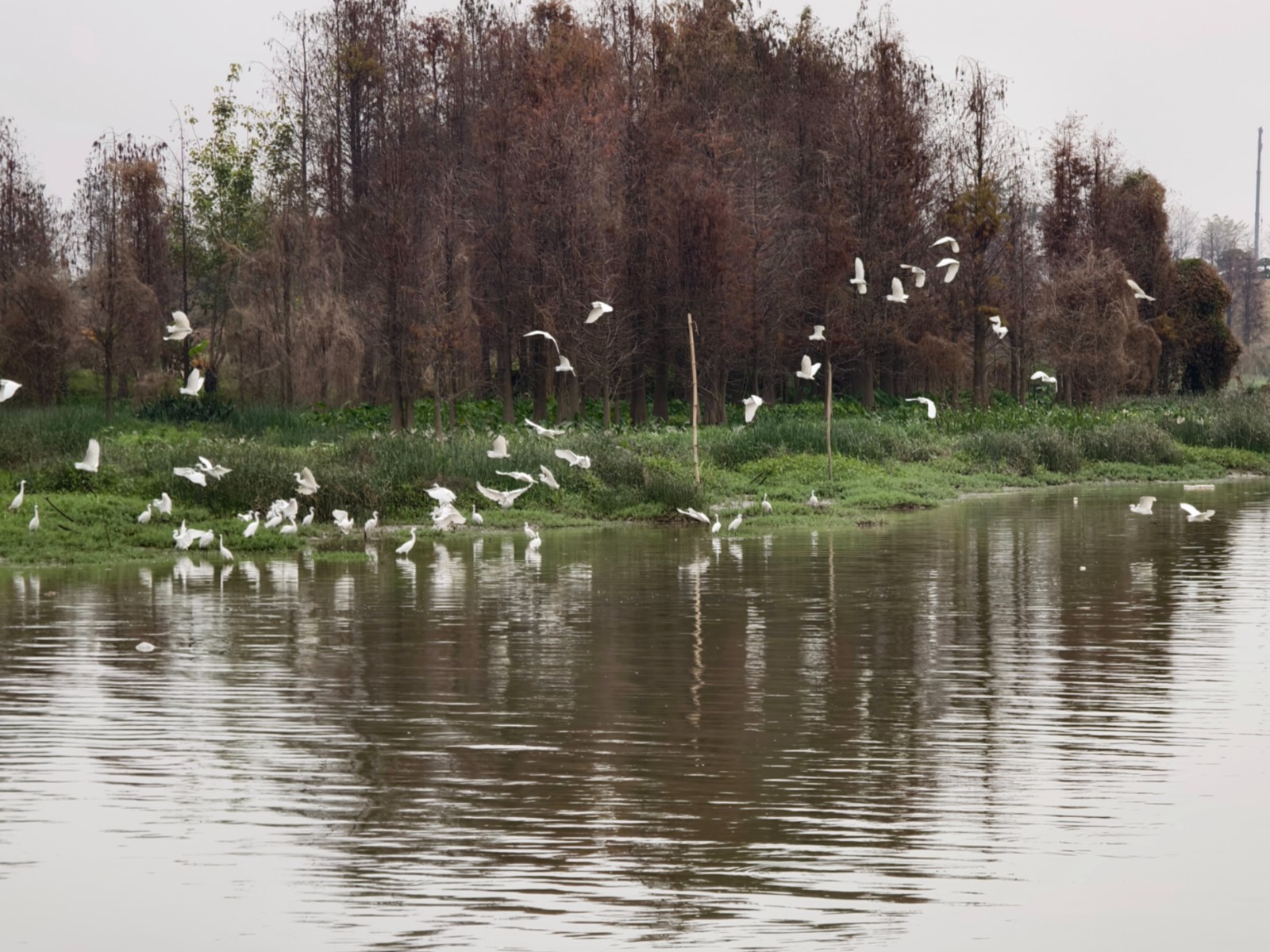 1764217190565806.jpg 1764217190565806.jpg