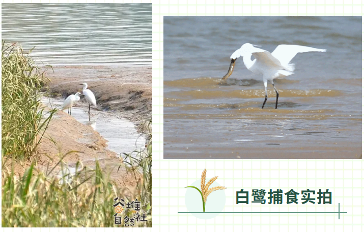 1764217285989502.png 微信图片_20251030120313_651_314.png