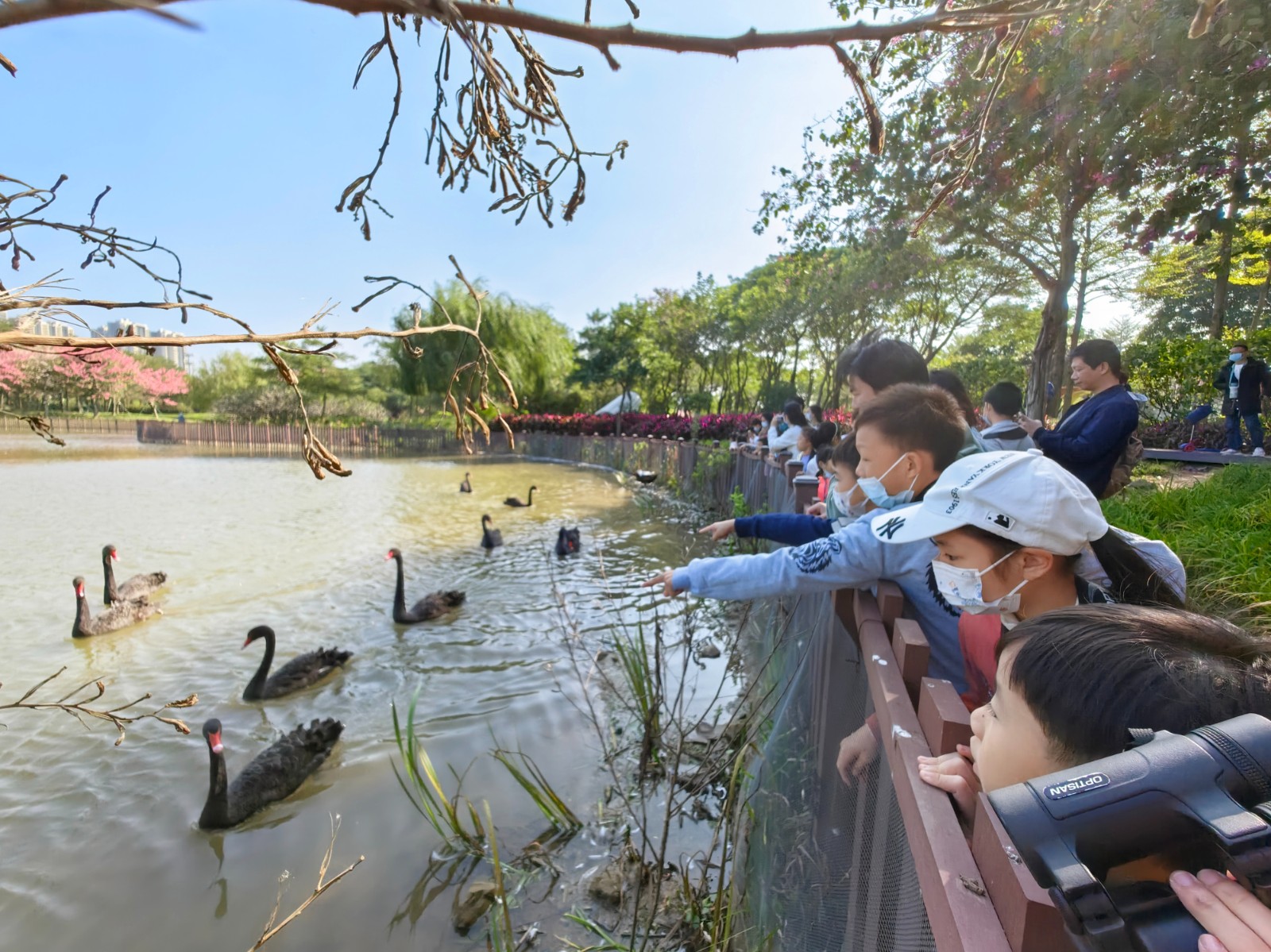 1765440152141573.jpg 1765440152141573.jpg