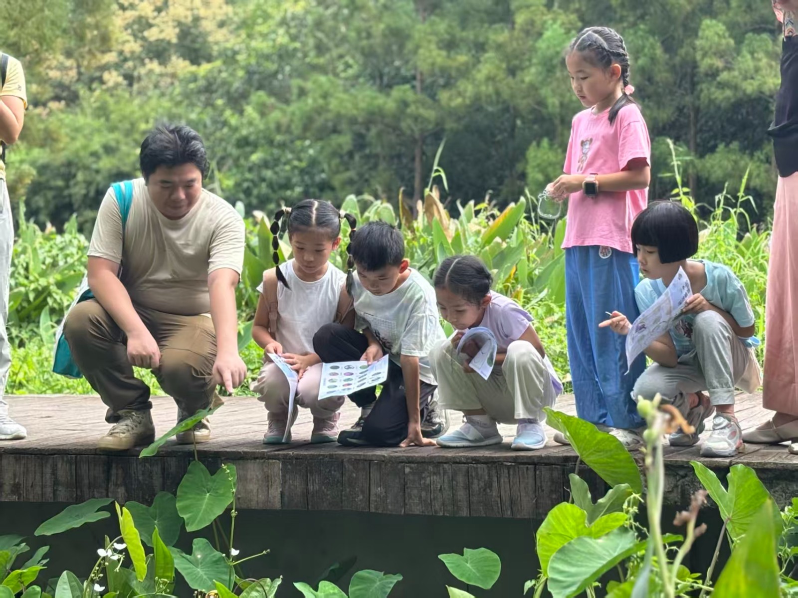 1765442055701292.jpg 1765442055701292.jpg