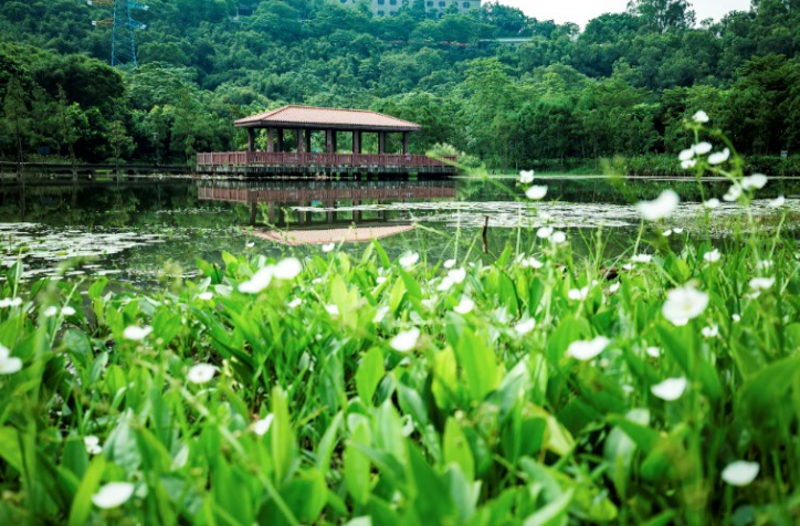 1765442072393945.png 1765442072393945.png