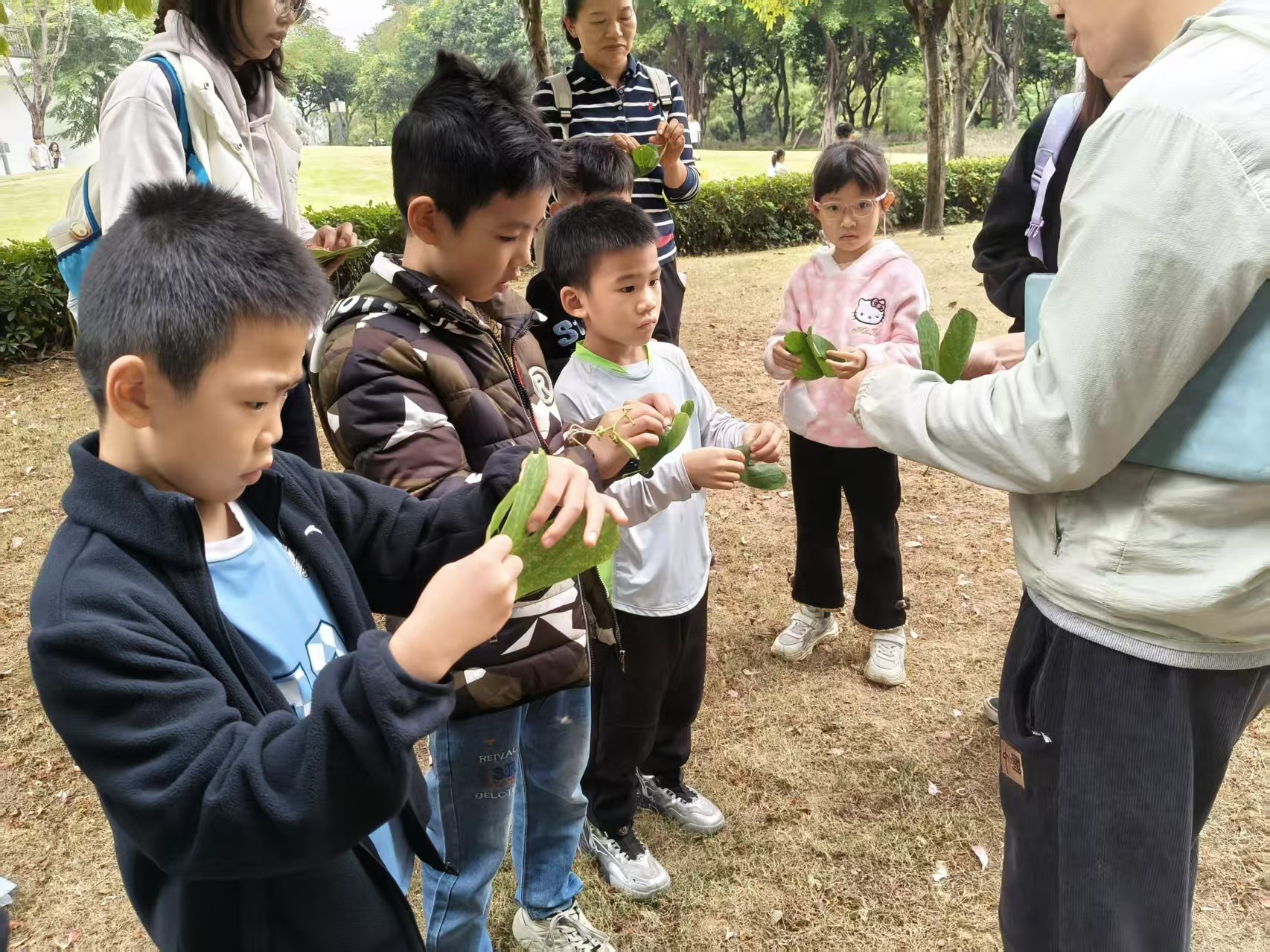 1765442307467386.jpg 微信图片_20251211163738_144_161.jpg