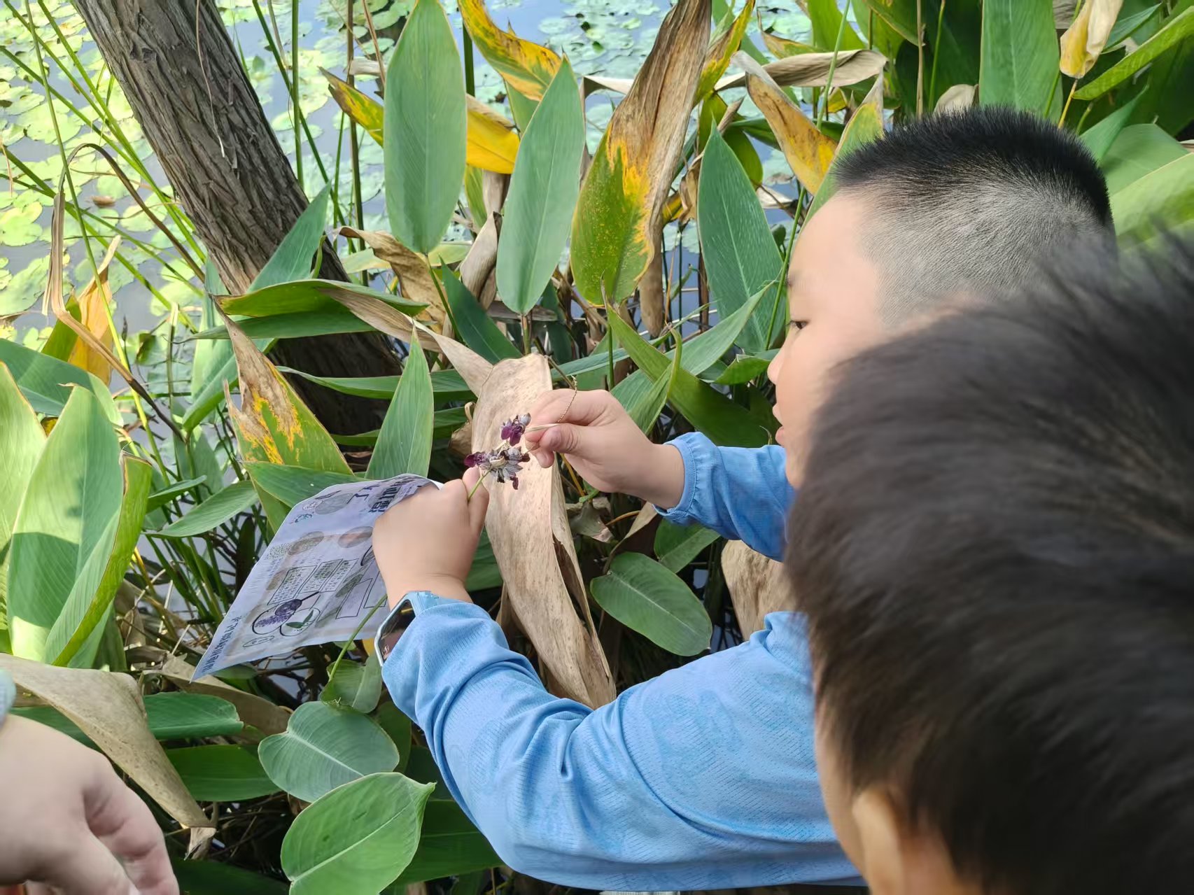 1765442405770946.jpg 微信图片_20251211163739_145_161.jpg