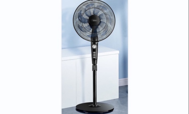 落地扇、电饭煲